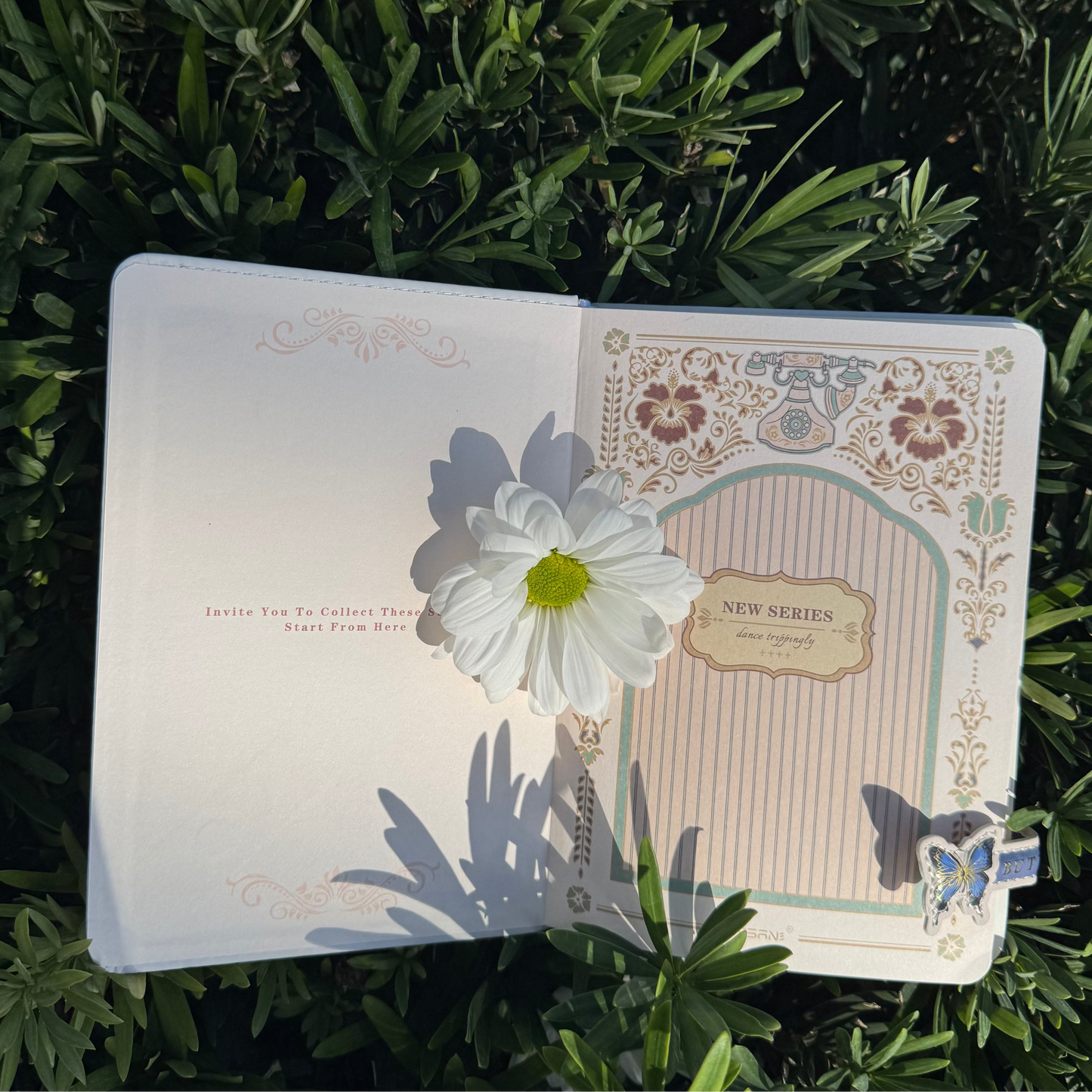 Butterfly Notebook 🦋📚