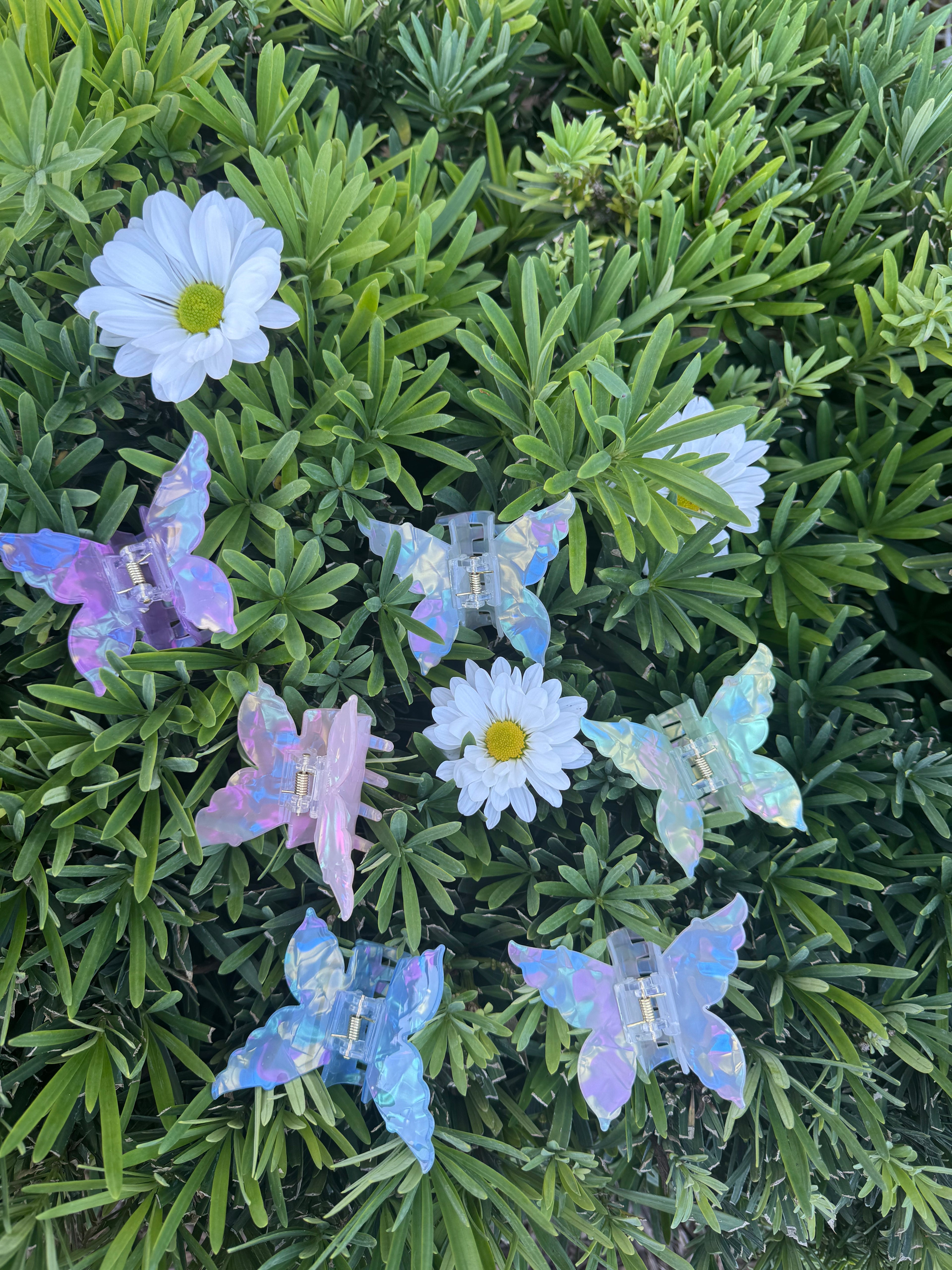 Butterfly Hair Claw 🦋