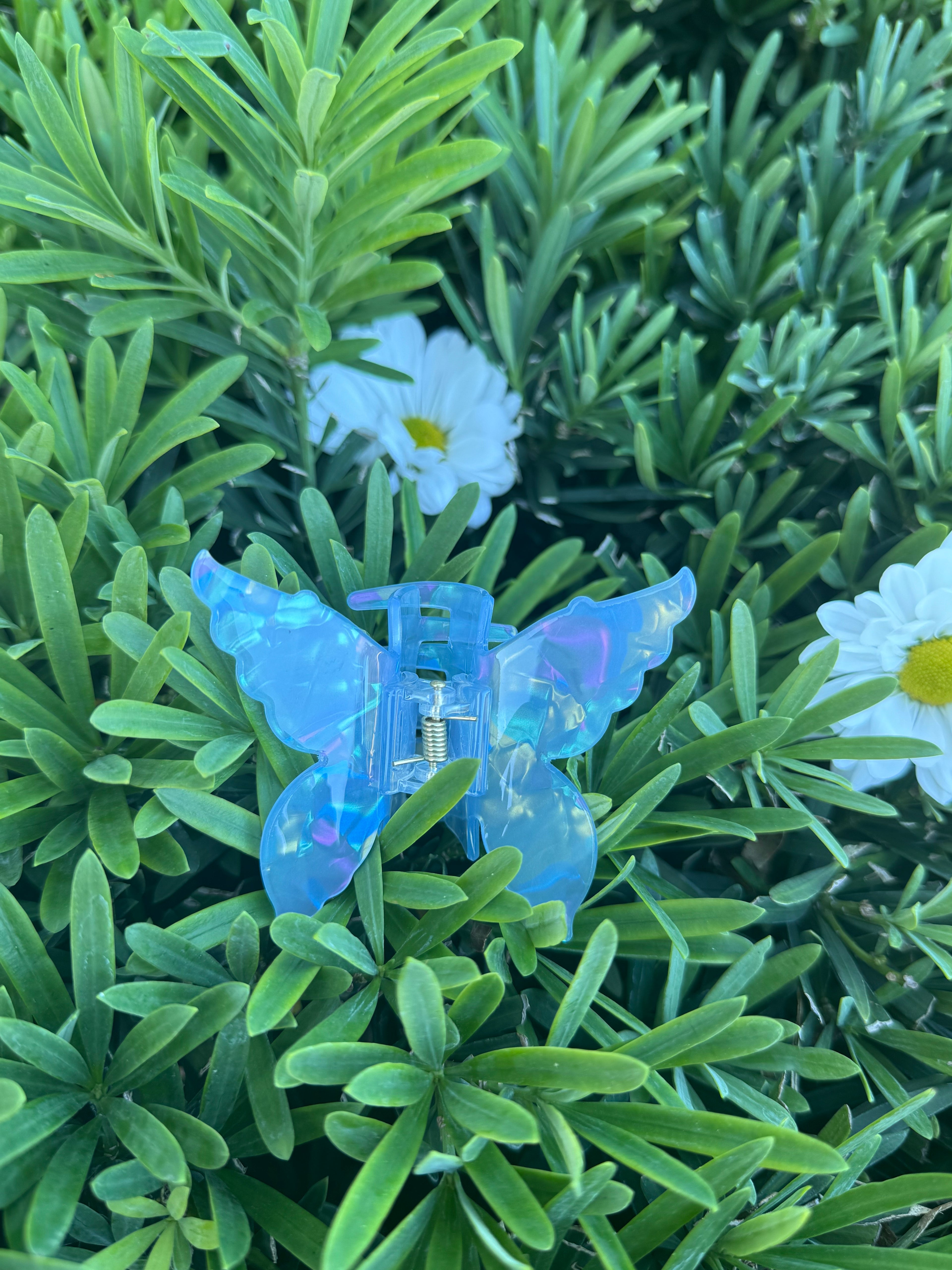 Butterfly Hair Claw 🦋