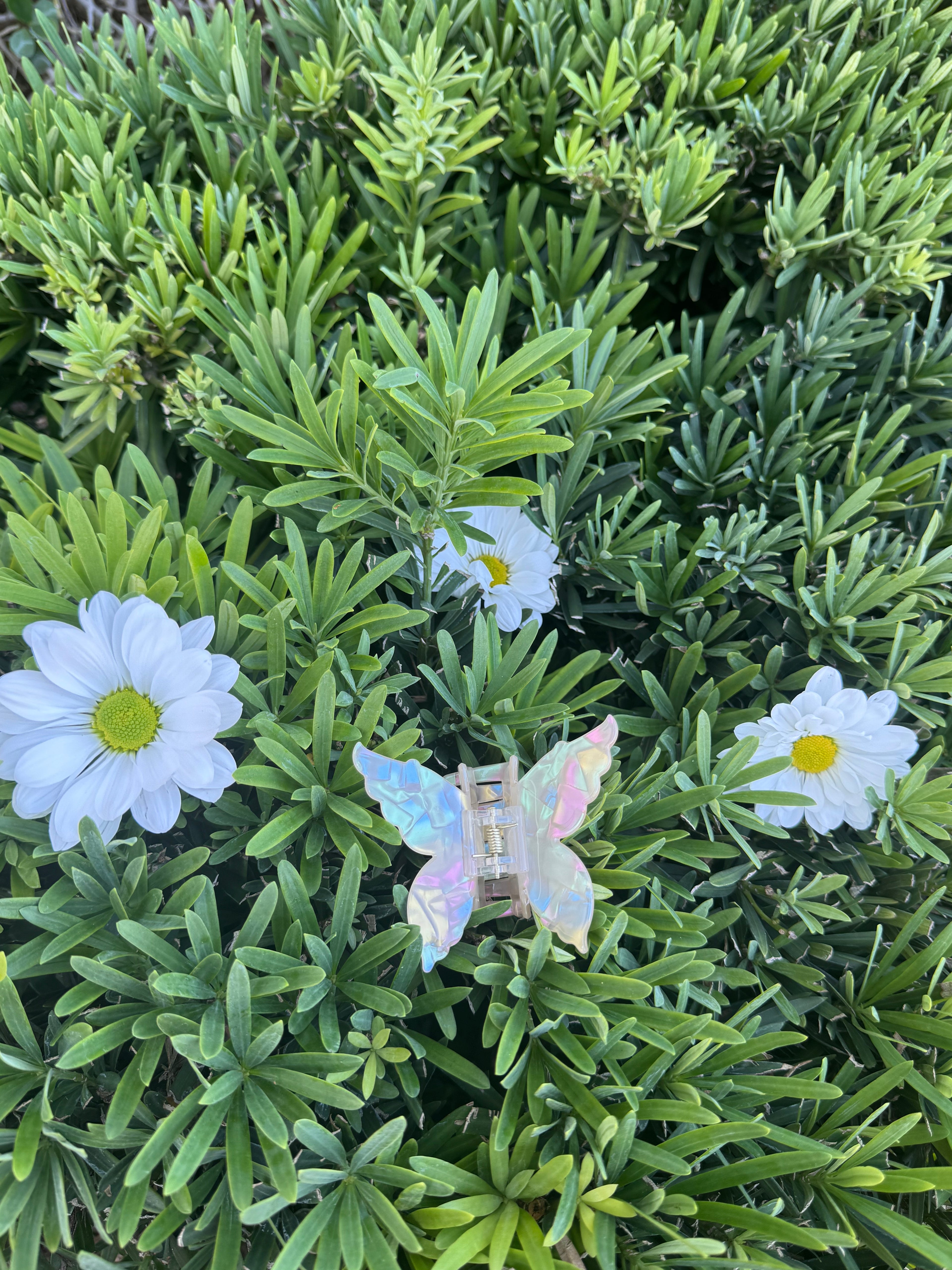 Butterfly Hair Claw 🦋