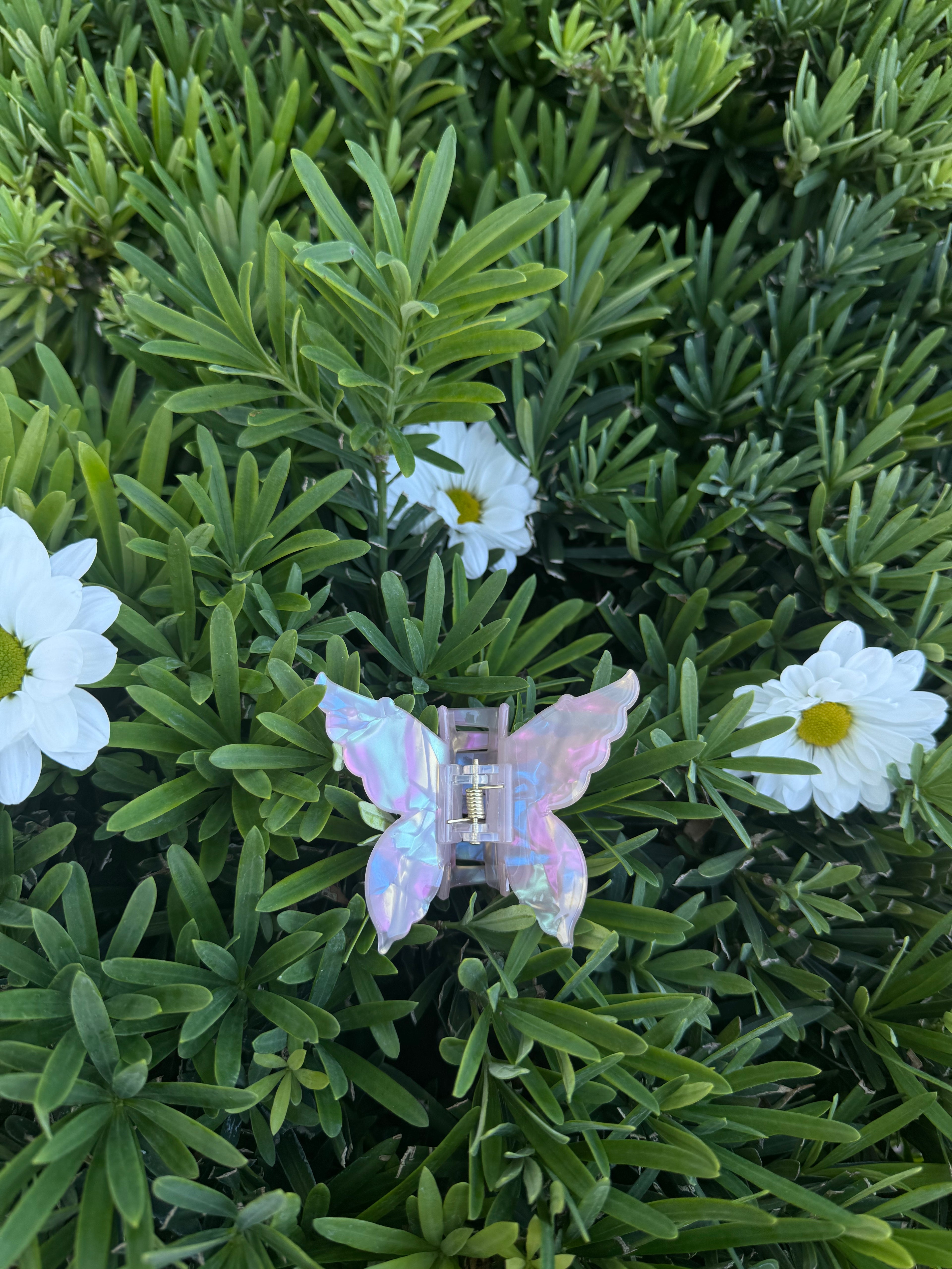 Butterfly Hair Claw 🦋