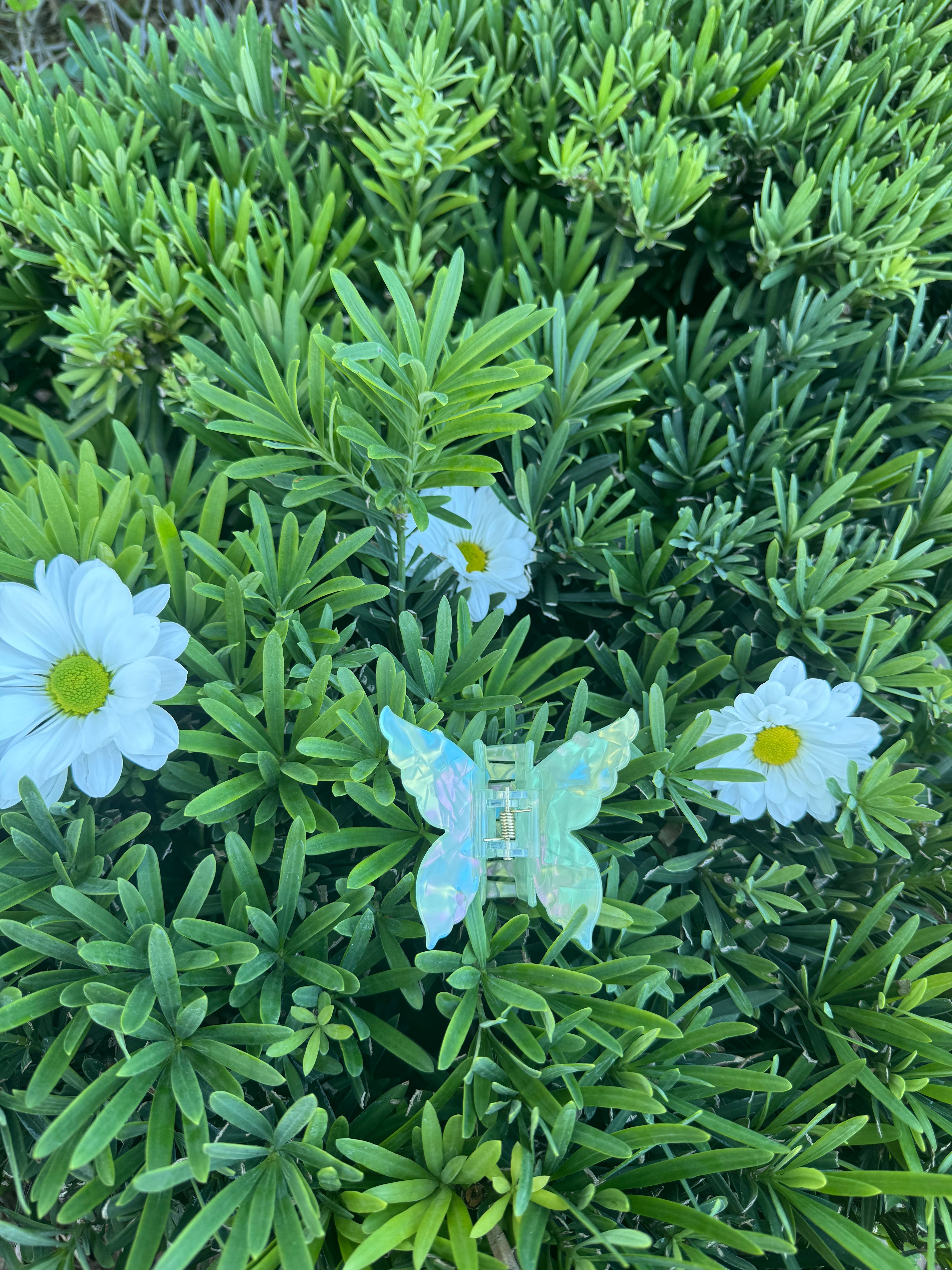 Butterfly Hair Claw 🦋