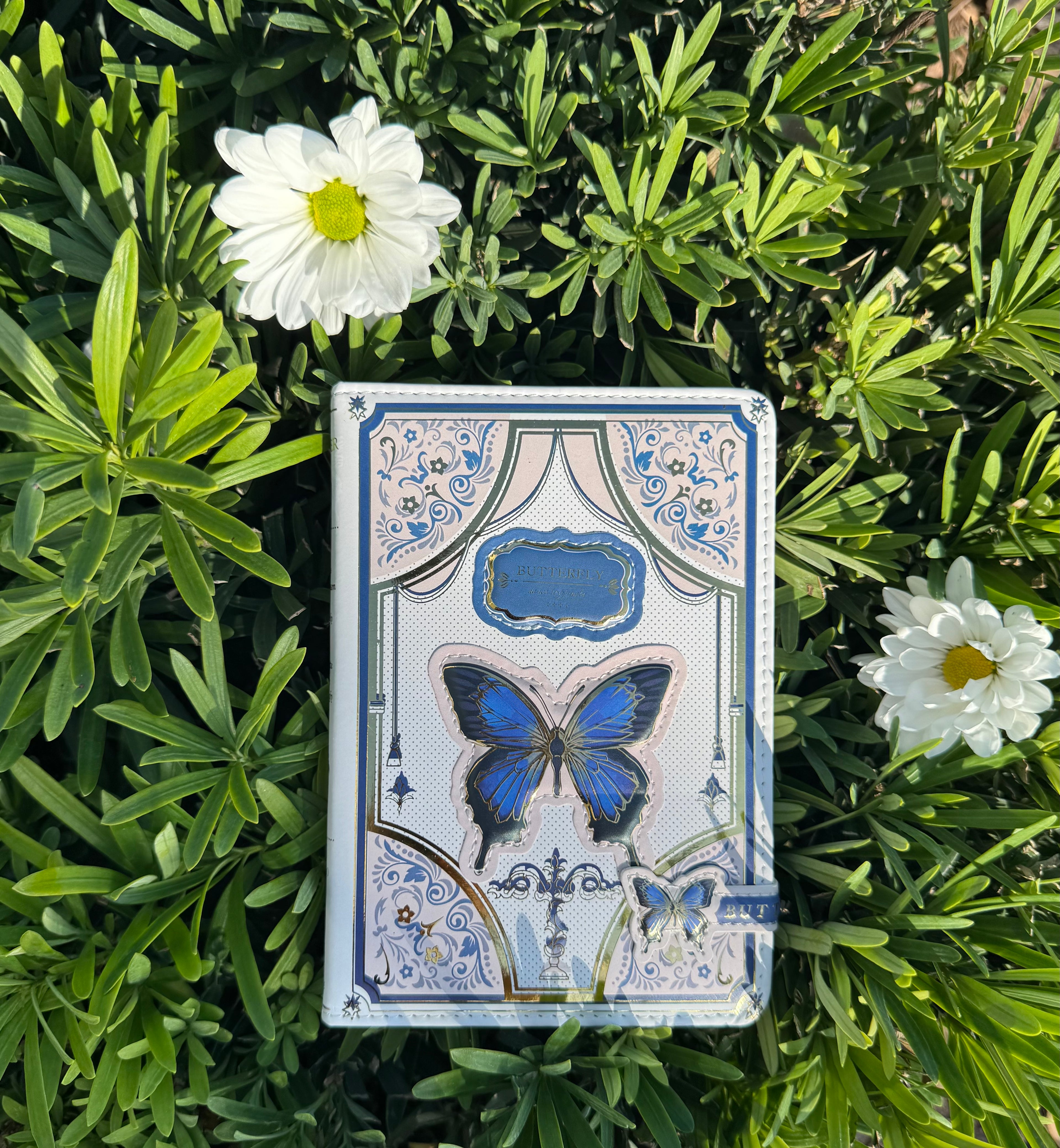 Butterfly Notebook 🦋📚